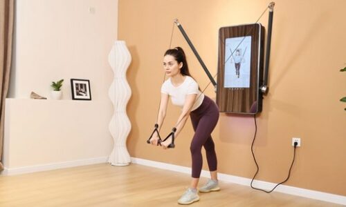 Wolfmate Introduces Fitness Services with Cutting-Edge Smart Fitness Equipment and Online Coaching Platform