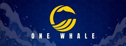 Project: One Whale Attempts to Revolutionize the Crypto Industry as It Brings Unique Use-Case to the Table