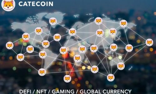Shiba Inu and Safemoon Investors are Moving Profit to Catecoin (CATE)