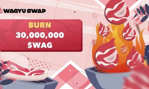 WagyuSwap DEX Burns 30 Million of $WAG Tokens