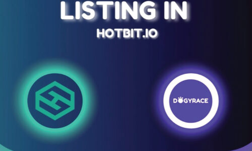 BSC Next Gem DogyRace will be listed in Hotbit on Dec 17