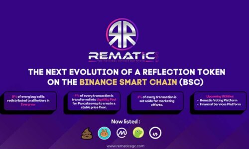 RematicEGC is Bridging the Gap between Crypto and the Public Sector
