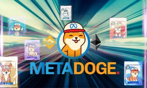 MetaDoge Listed on ZT & BKEX Exchanges; 1500 NFTs Sold Out