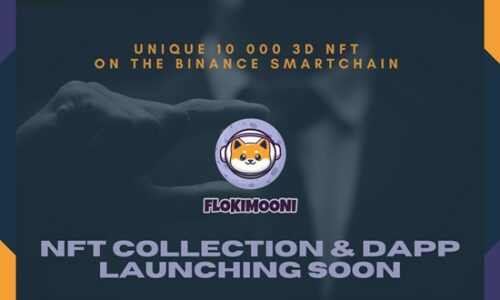 FlokiMooni’s Ecosystem is Heating Up: NFT Collection Launching Soon