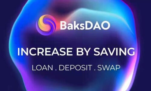 BaksDAO Launches Solution For Hodlers With Decentralized Crypto Dollar For Easy Entrance to DeFi