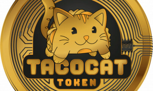 TacoCat Powers Up Leadership to Take Play-to-Earn Gaming to the Next Level
