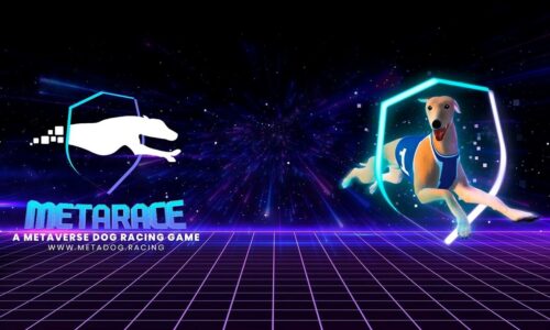 MetaRace launches Greyhound Dog Racing in the metaverse