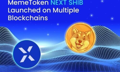 MemeToken NEXT SHIB announces the launch on Multiple Blockchains