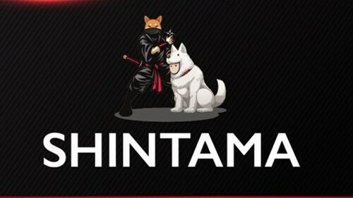 Shintama Redefines the DeFi Space, Arrives with Major Targets