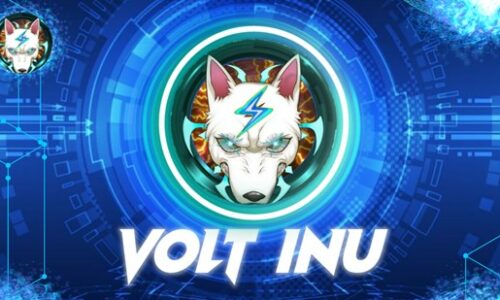 Volt Inu ($VOLT) Is Launching a Rocking P2E Game in March, 2022