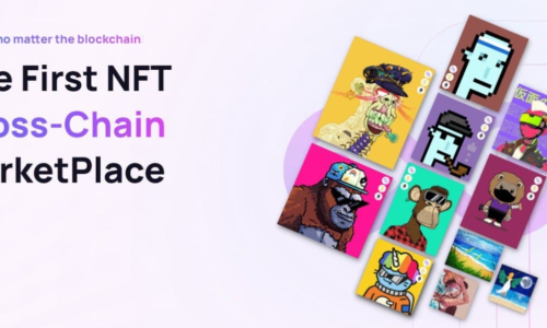 MetaNFT brings you a multi-crosschain NFT marketplace