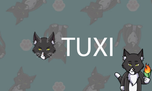 Tuxi Develops a Charity Token to Fund Kitten Protection