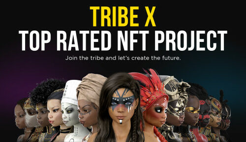 Why TRIBE X Might Be the First Green-Chip NFT Project to Enter the Metaverse