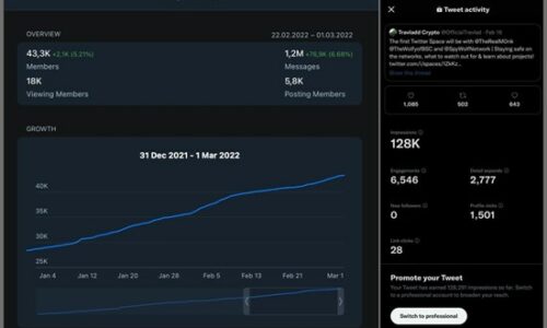 Travladd Crypto: Promoted NFT Project to Get More Whitelist Sponsors and Partnered with Spywolf Crypto Security Agency