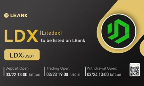 Litedex Protocol, the First DEX in Indonesia Supported by Deputy Minister of Trade as a Meta Finance Blockchain Developer, to Be Listed on LBank