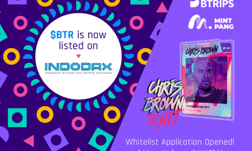 BTRIPS announces Listing on Indodax and the collaboration of Mintpang with Chris Brown