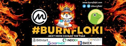 Burn Floki Introduces a Play2Earn Platform, Becoming Gateway for Revenue