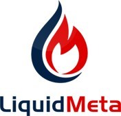 Liquid Meta Provides Update on Ronin Network