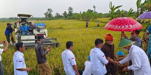 Indonesia’s First Real Metaverse of Agriculture SANGKARA (MISA) and 5Harvest0.com Partnering with APEDI