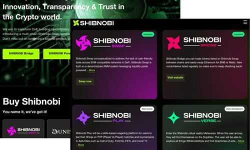 Shibnobi Undergoes Rebranding, Launches Bridge Site to Correlate with BSC Launch, and Merges with The Crypt Space