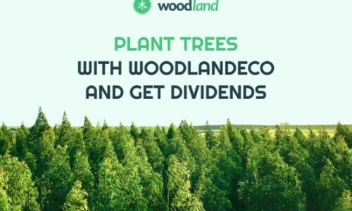 WoodLandEco Beta Version to Promote Eco-Friendly Initiatives