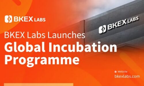Global Incubation Programme Launched By BKEX Labs As Comprehensive Support For Startups Remains Top Priority