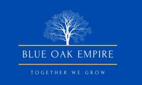 Blue Oak Empire Launches New E-Commerce Services to Boost Businesses During Recessions