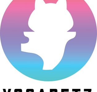 Wellness NFT YogaPetz Sells Out in Less Than 45 Minutes with a Value Close to $3 Million