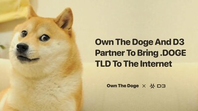 D3 x Own The Doge